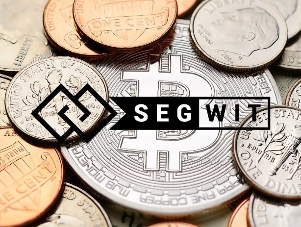 What is Segwit?