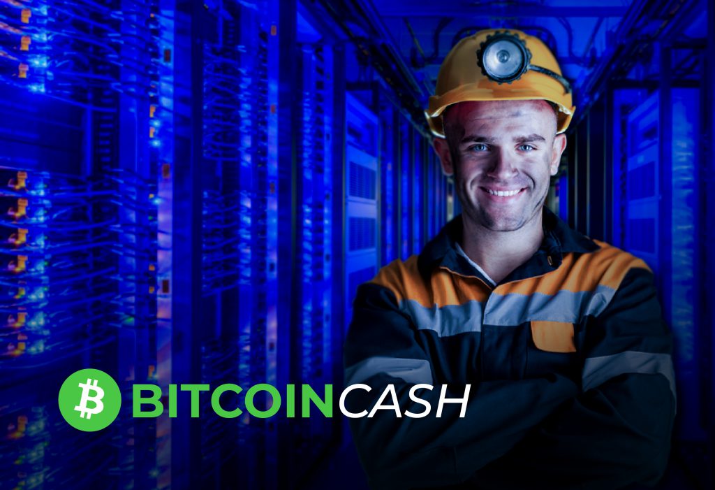 cómo minar bitcoin cash BCH Bitnovo