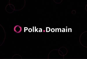 ¿Qué es PolkaDomain?