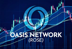OASIS-NETWORK