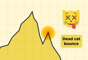 Dead-Cat-Bounce