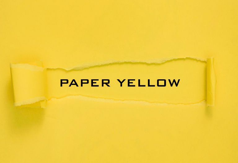 ¿Qué es el Yellow Paper?
