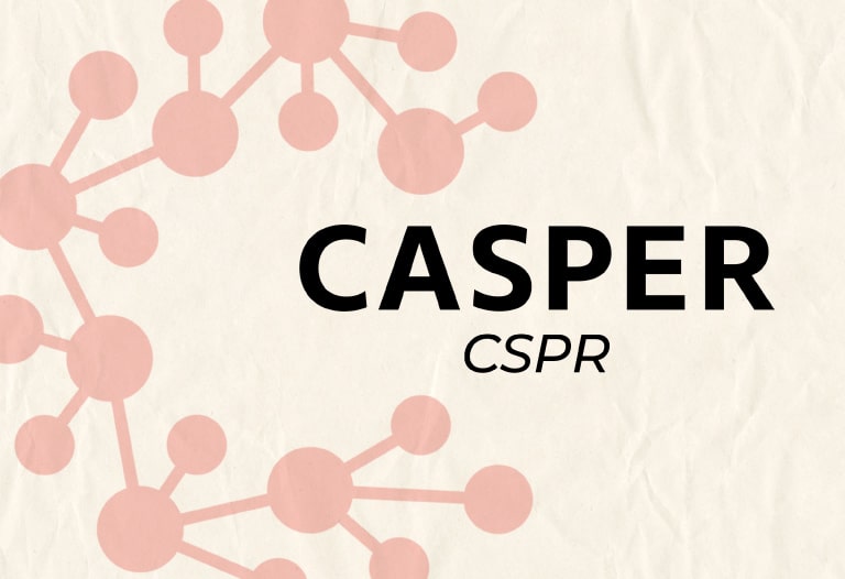 CSPR, the native currency of Casper Network