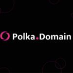 What is Polkadomain?