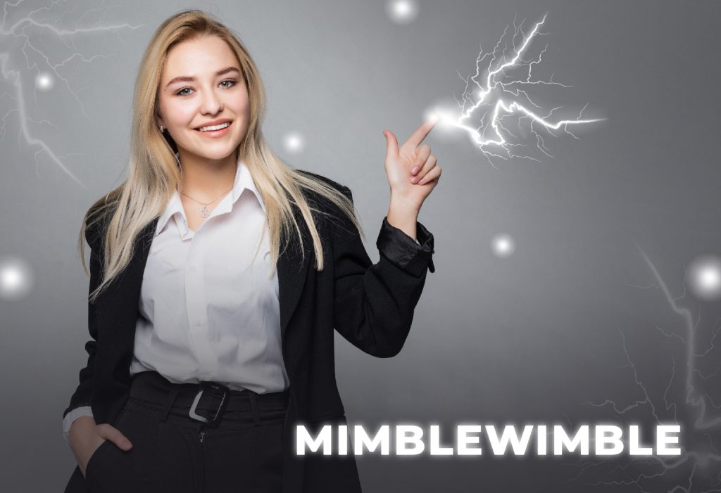 What is Mimblewimble and how does it work?