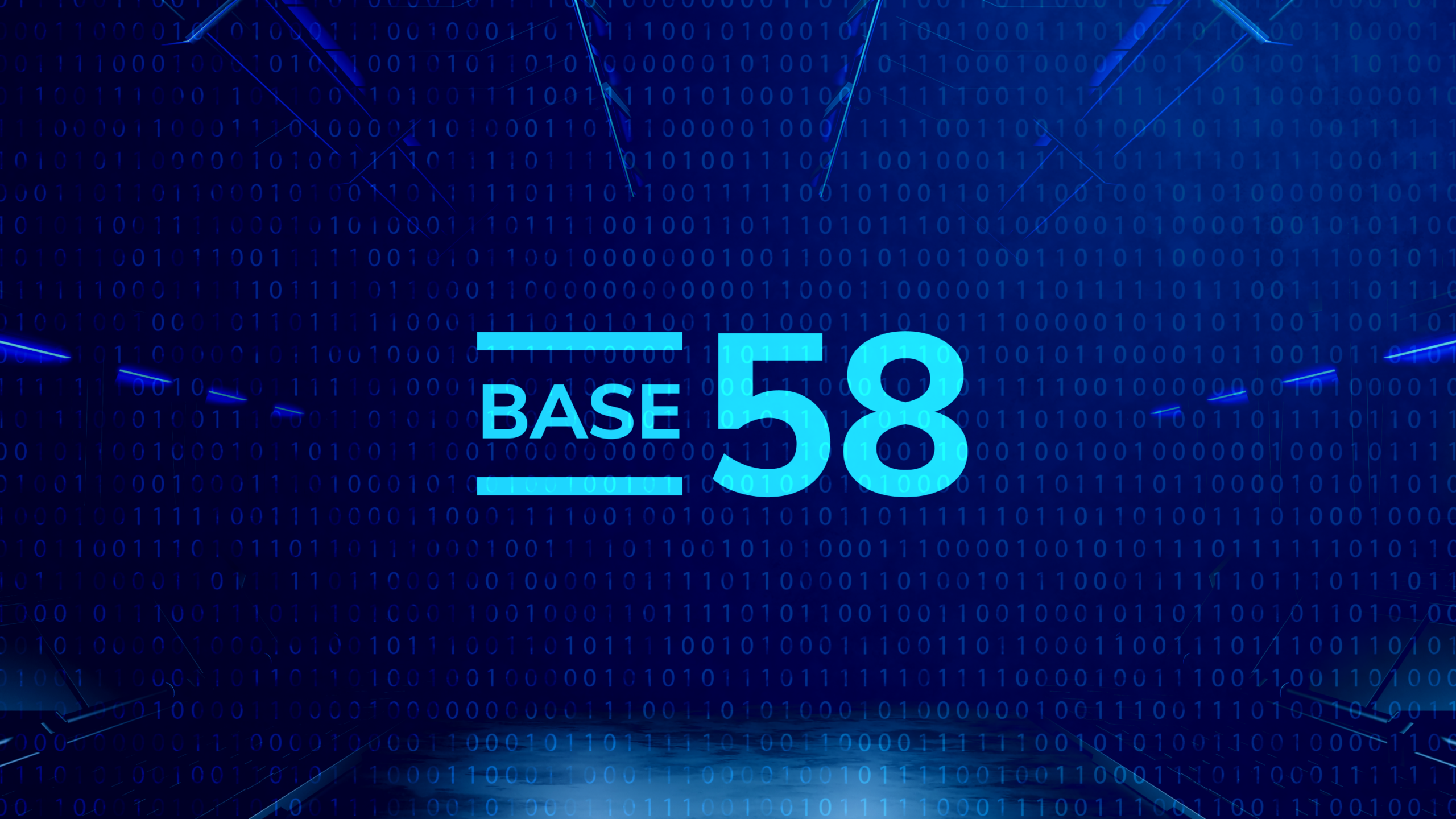 Descifrando los Secretos del Formato de Importación Base58